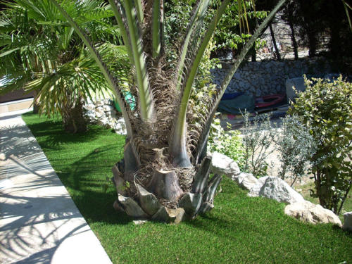 jardin-gazon-artificiel